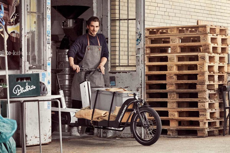 E-Cargo Subsidy KeyFeature