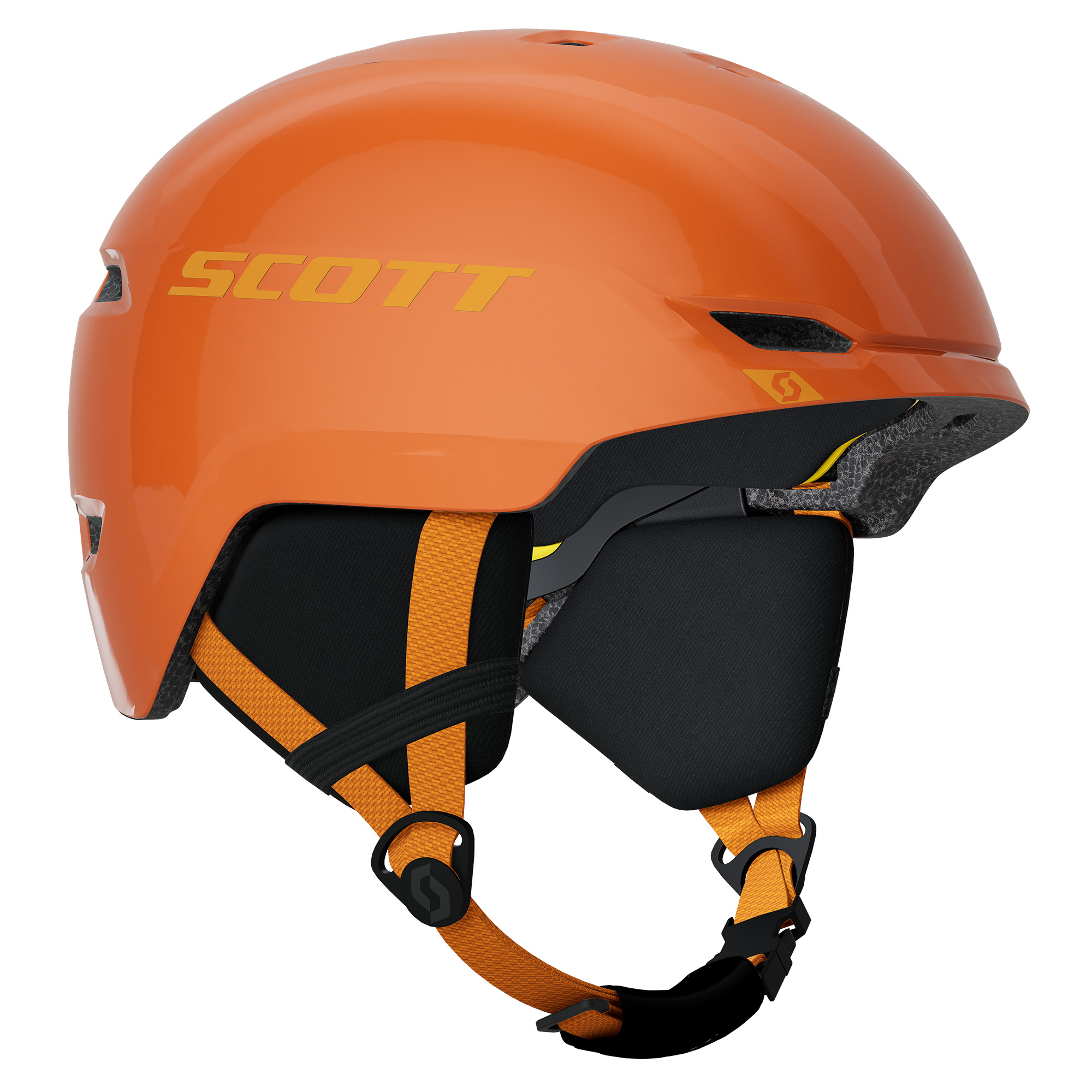 Scott junior witty