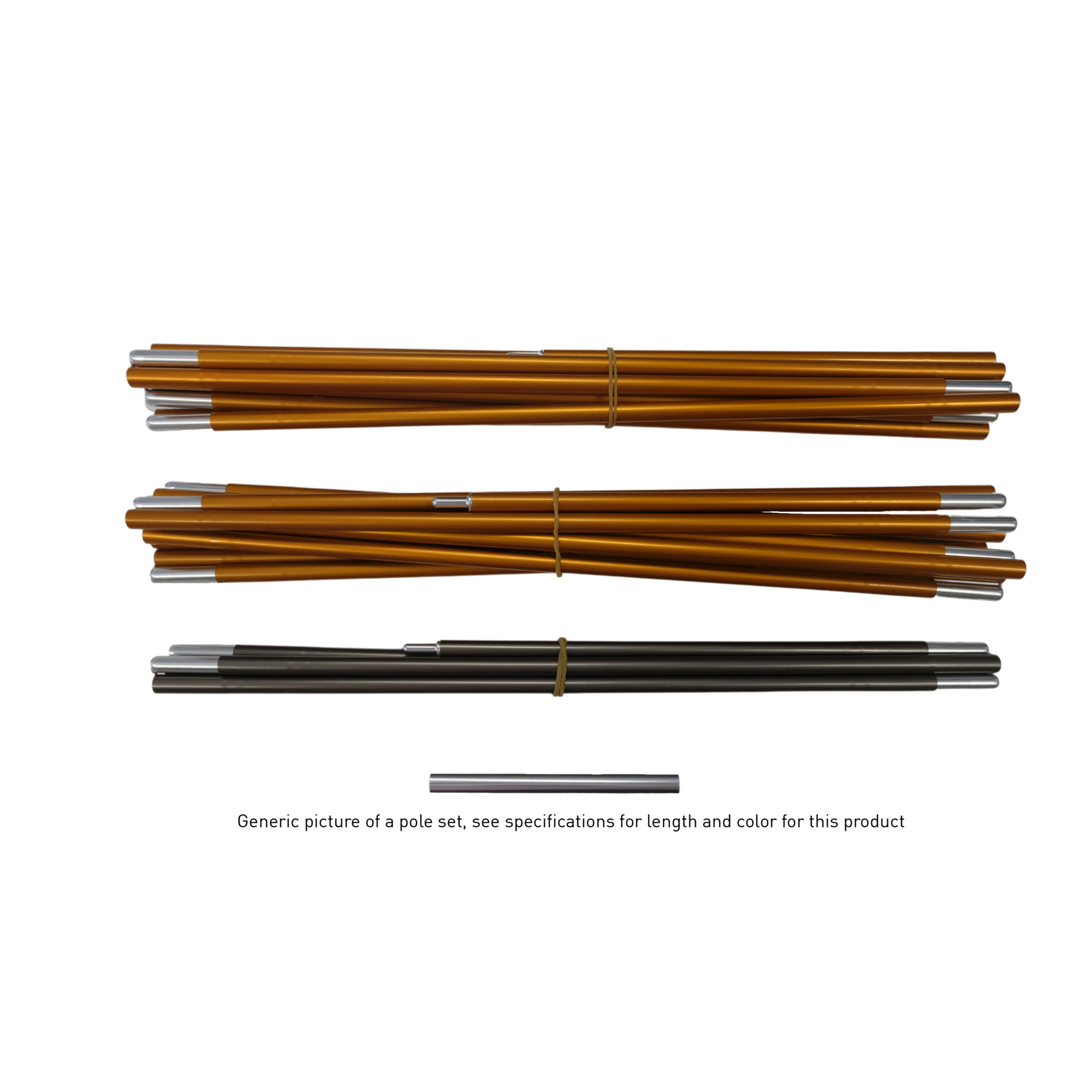 BACH Apteryx 3 Footprint