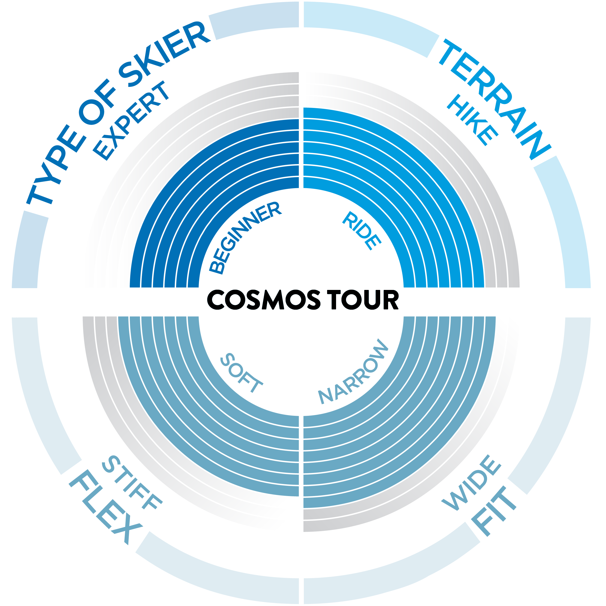 Radar Chart