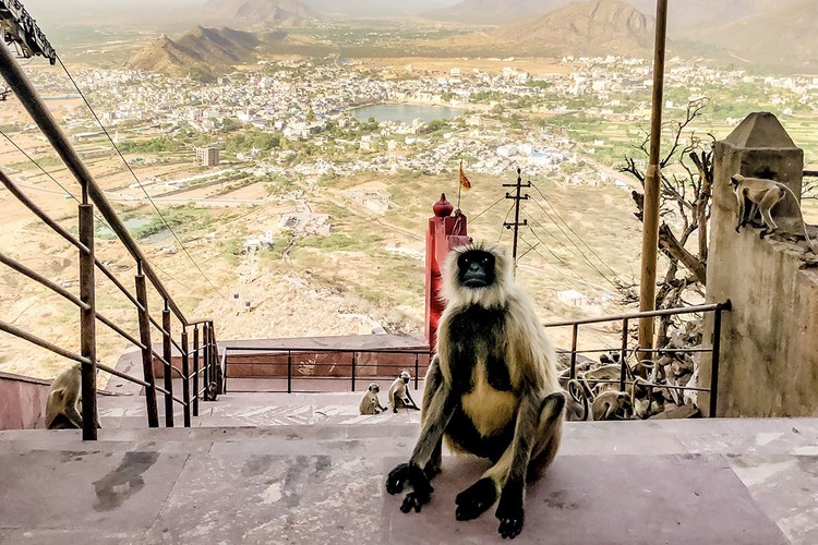 Savitri temple