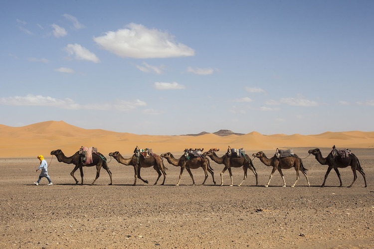 Marocco Desert caravan