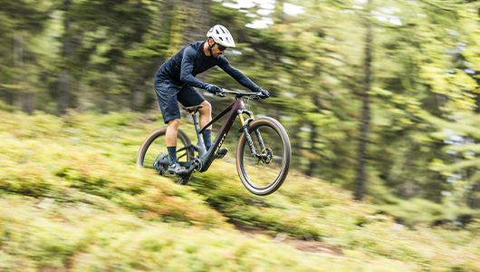 Electric Mountain Bikes for Trails