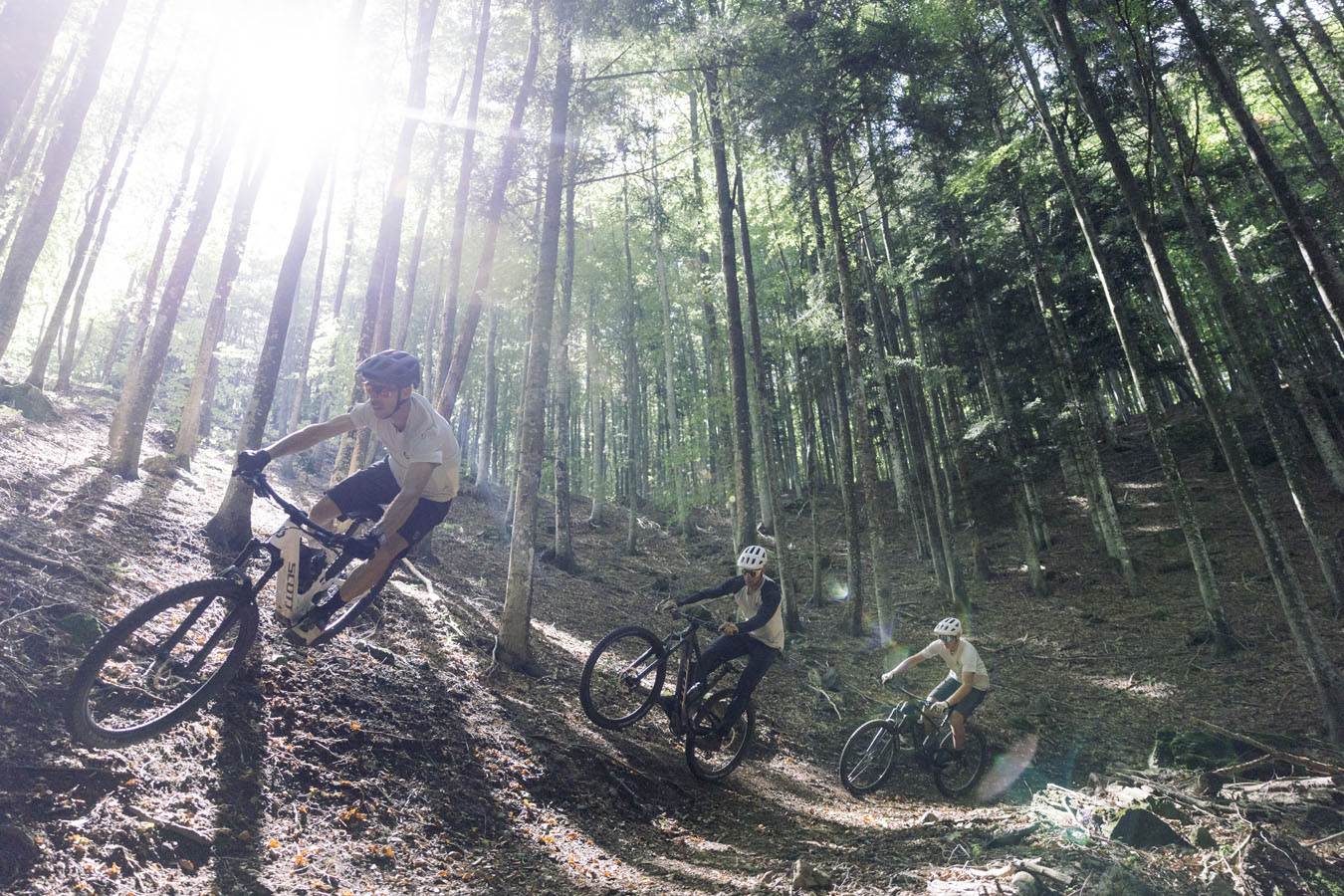 Three mountain bikers riding in a forest and jumping