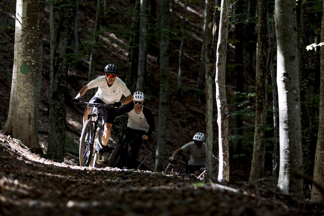 Three mountain bikers riding in a forest