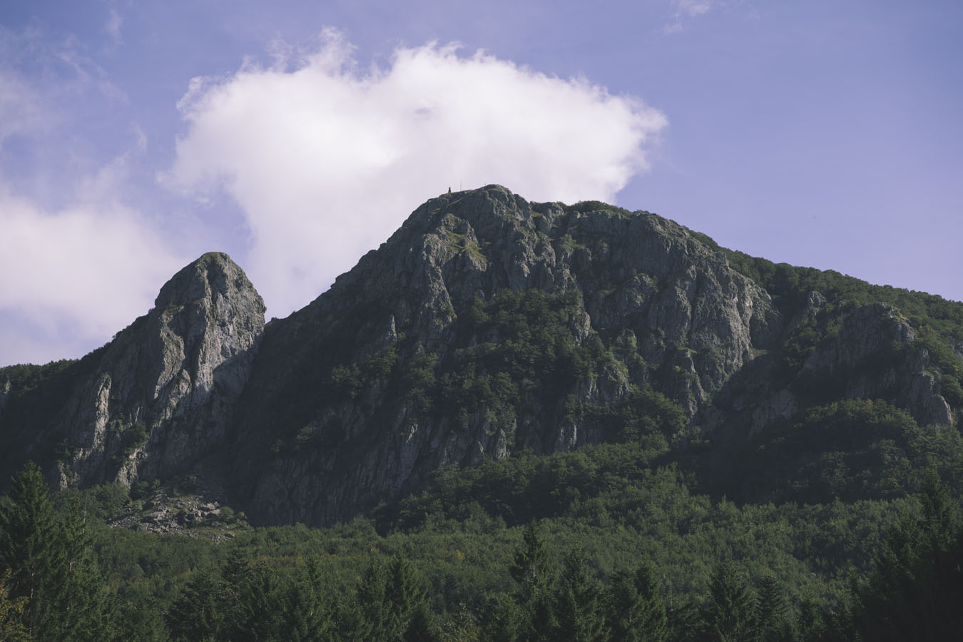Mountains in summer
