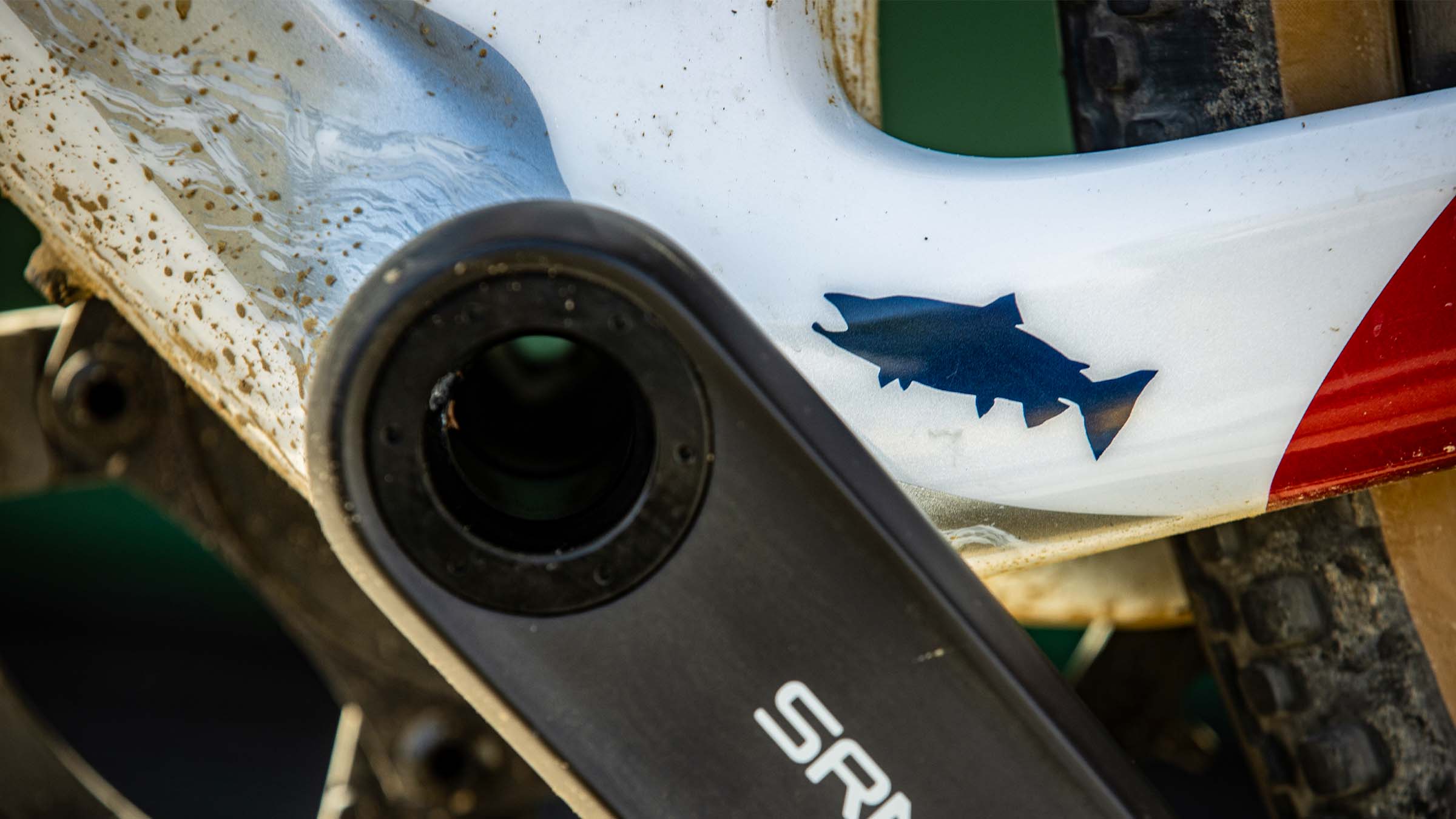 Salmon always returns to home waters, and Brennan has taken that to heart.