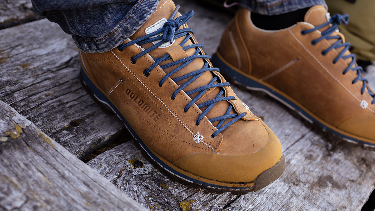 Dolomite 54 Hike Evo Gore-Tex (Bronze Brown) men's shoes