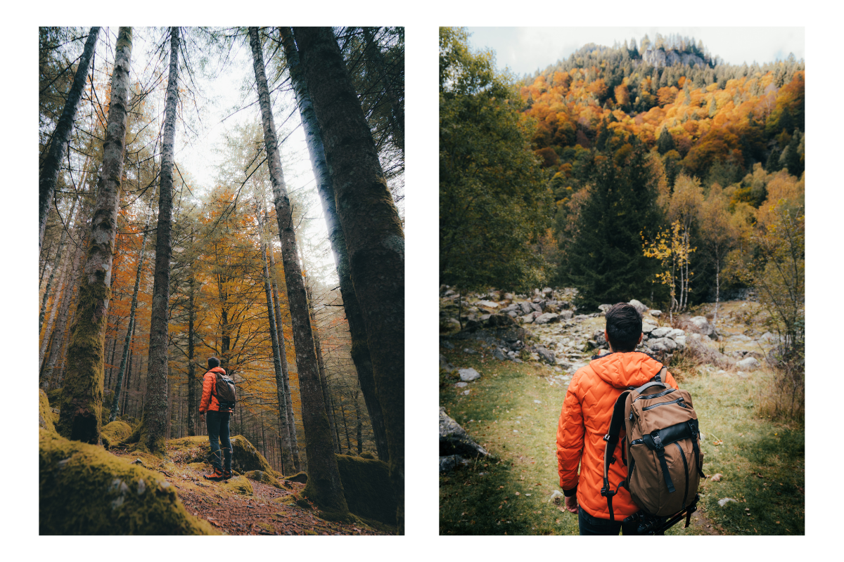 autumn colours in Valtellina