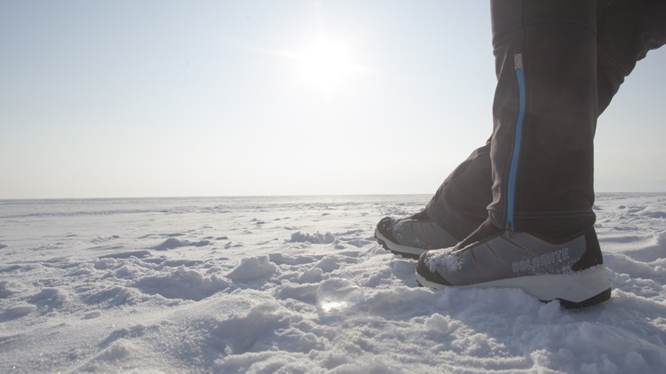 Tamaskan Boots