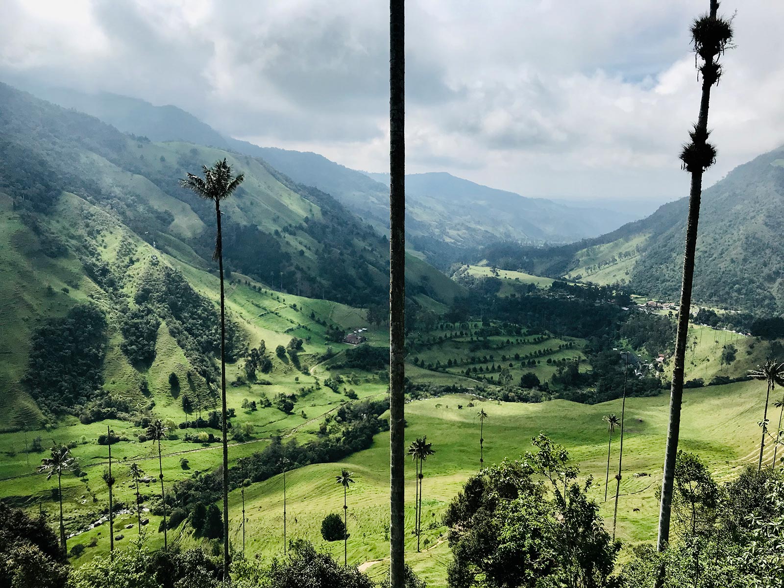 story-page-template-scott