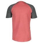 SCOTT Icon Raglan Short-sleeve Men's Tee