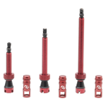 Valvole tubeless SYNCROS
