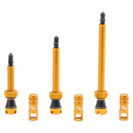 SYNCROS Tubeless Valves