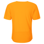 SCOTT Vertic DRI Men's Tee