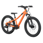 SCOTT Roxter 200 Bike