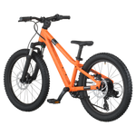 SCOTT Roxter 200 Bike