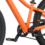 SCOTT Roxter 200 Bike