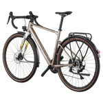 Bergamont Grandurance RD 20