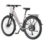 Bergamont Vitess 10 Amsterdam