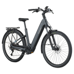 Bergamont E-Horizon Sport 20 Wave