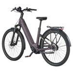 Bergamont E-Horizon Tour 10 Belt Wave