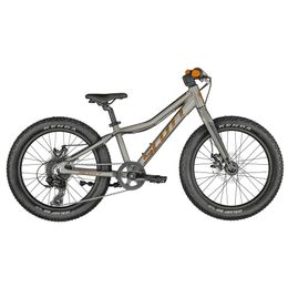 Bicicletta SCOTT Roxter 20 silver (KH)