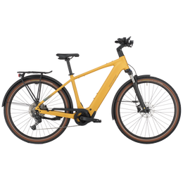 Bergamont E-Horizon Sport 20