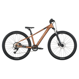 Vélo SCOTT Roxter 600