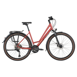 Bergamont Vitess 30 Amsterdam