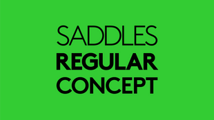 saddles regular concept