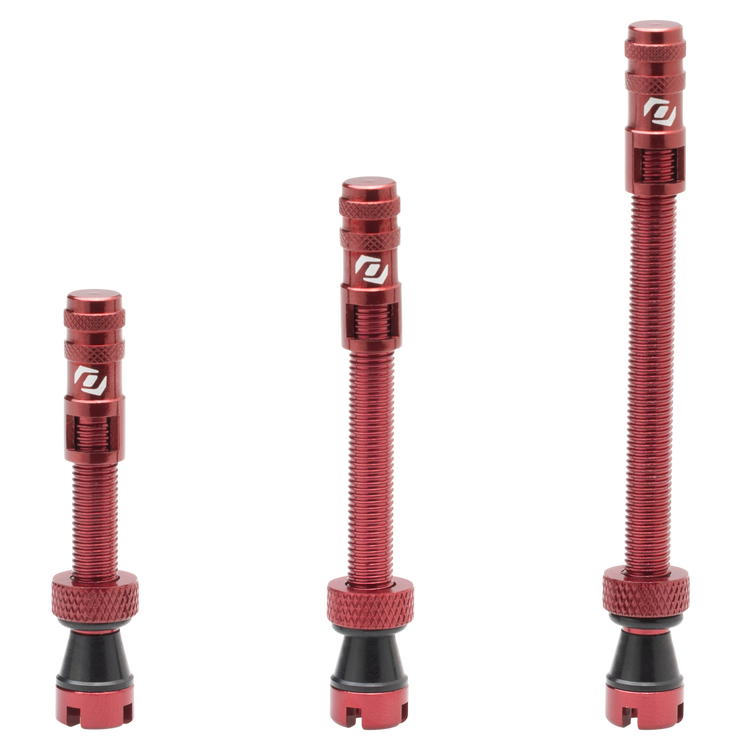 Valvole tubeless SYNCROS