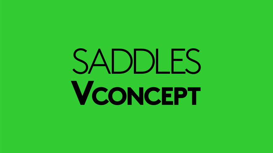 saddles v concept