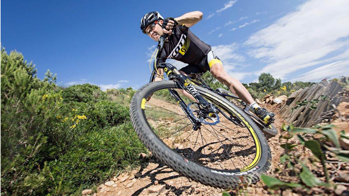 mirko-celestino-122361