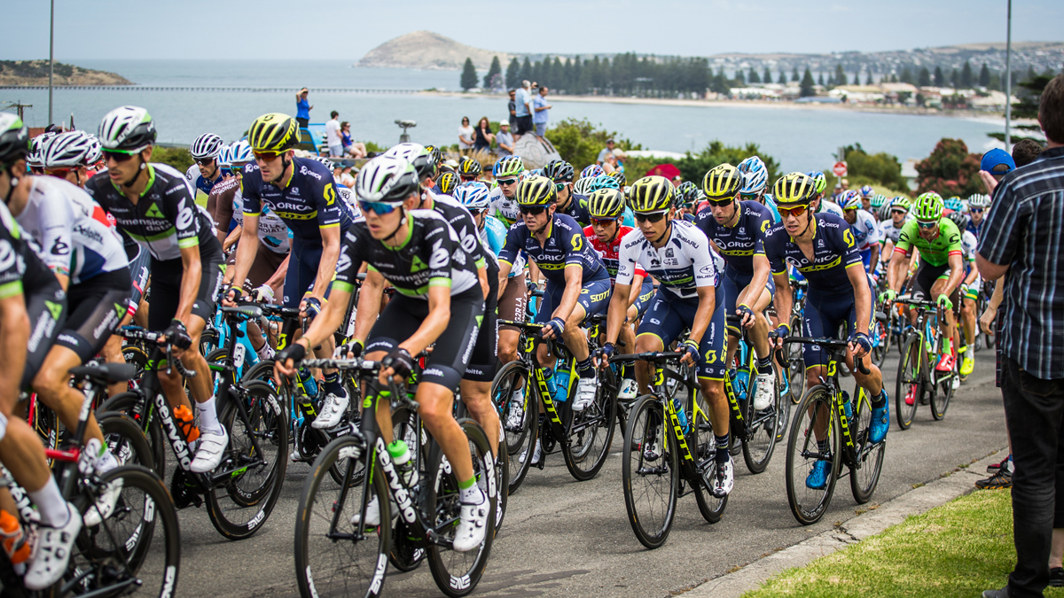 Orica orica-193659