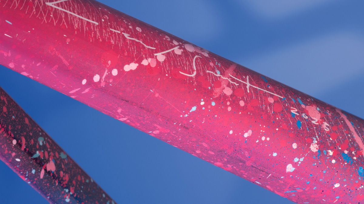 Bike detail of frame painted by Lionel Smit