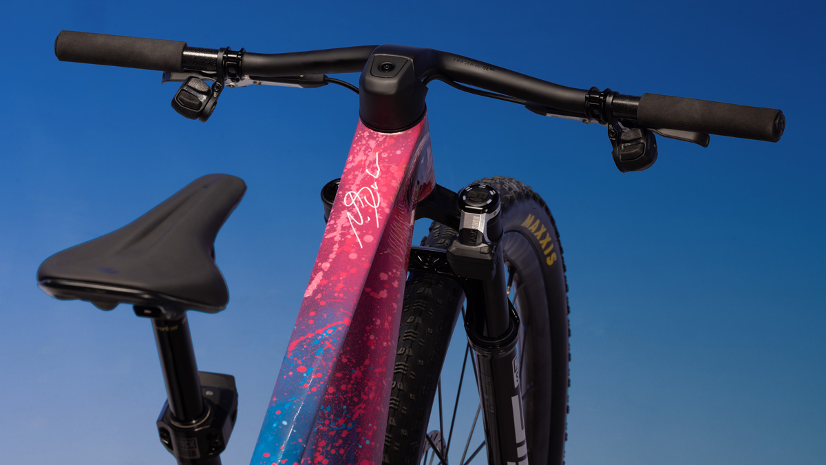 Cockpit of SRAM Bike painted by Lionel Smit