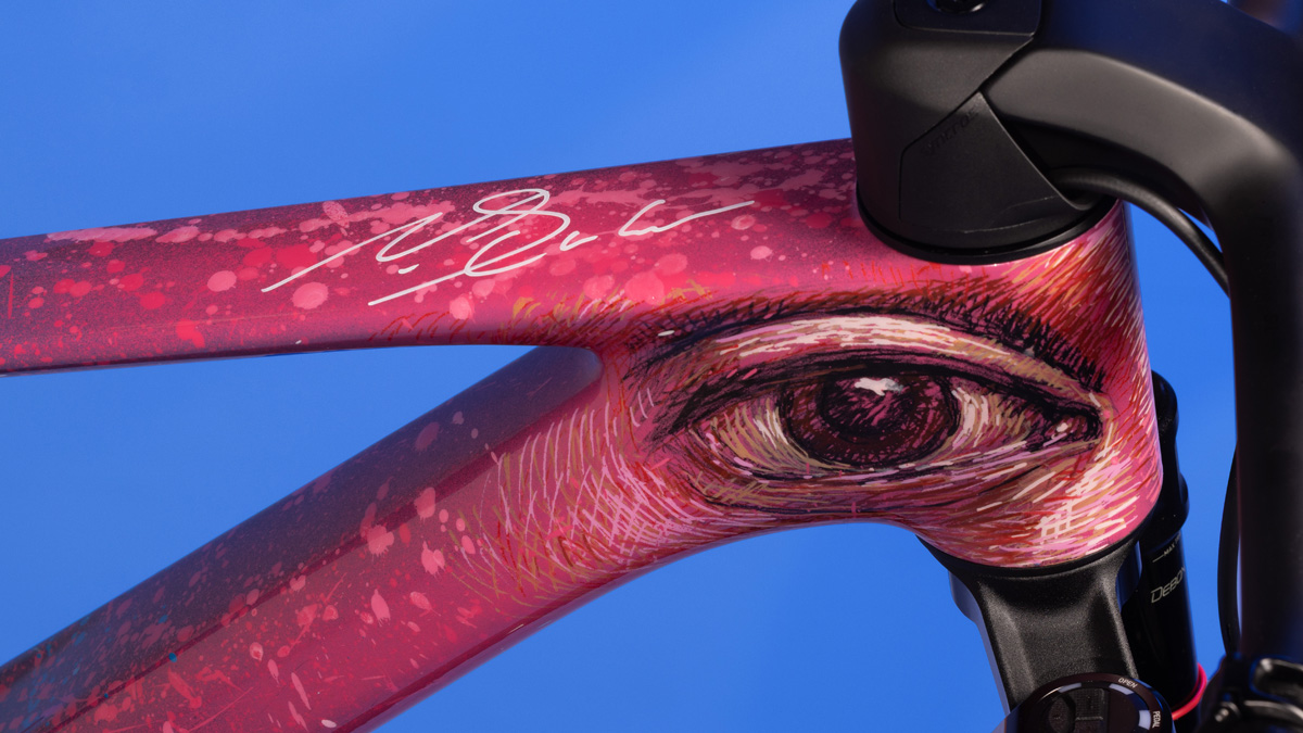 Detail of frame bike painted in pink and crafted by Lionel Smit